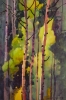 Autumn Aspen Below Lovelake